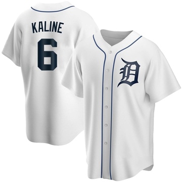 Al Kaline Men's Detroit Tigers 1984 Throwback Jersey - Grey Replica